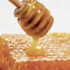 011c9449 allergie allergique miel produits ruche gelee royale propolis pollen pollens