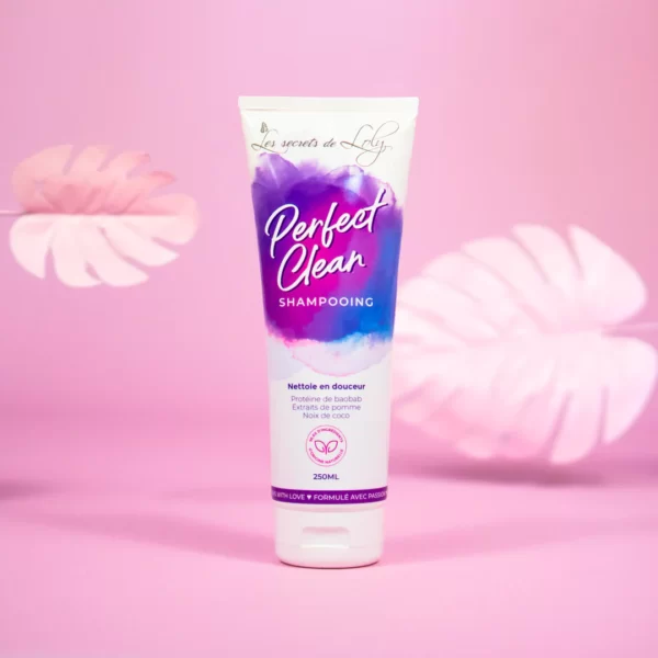 PerfectClean-visuel1_1080x