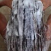 Shampoing-Locks-450x800