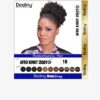 AFRO KINKY ZIGGLY 4C PACK