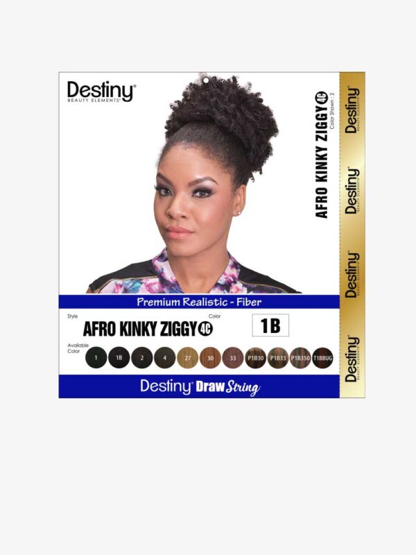 AFRO KINKY ZIGGLY 4C PACK