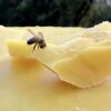cire abeille naturelle pure fraiche opercule 2018 beeswax raw recolte best quality qualite bees