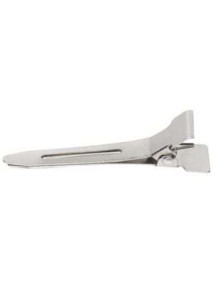 clips metal pointu x100