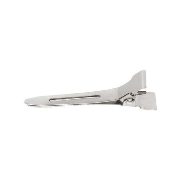 clips metal pointu x100