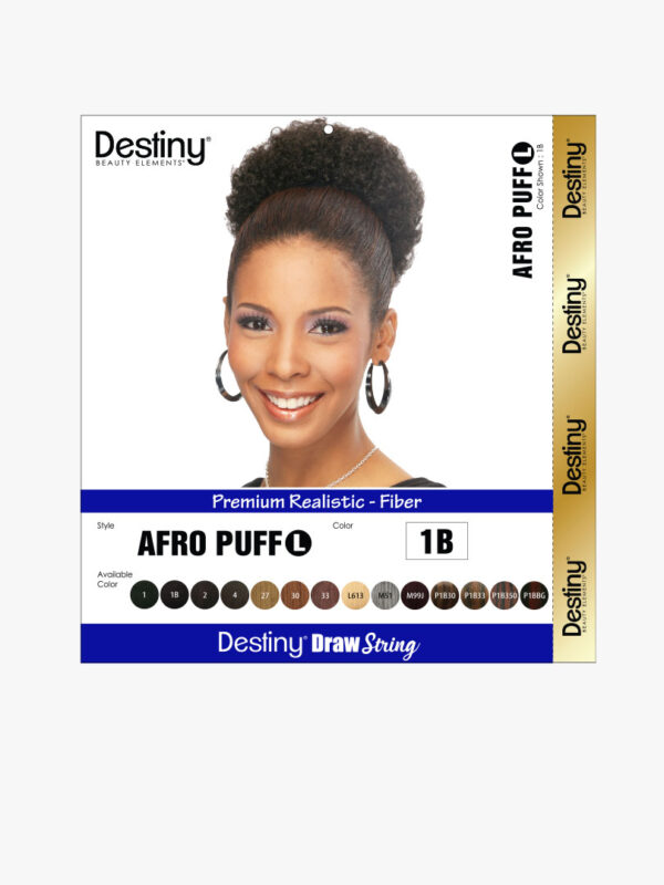 Postiche Destiny DS AFRO PUFF(L) #1