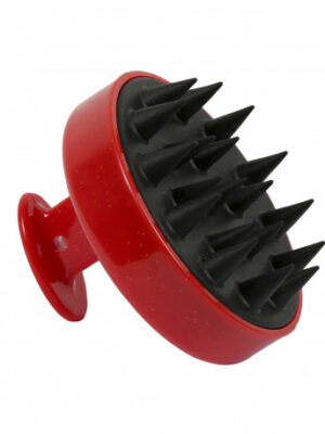 easy pouss brosse rouge