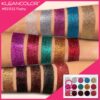 Palette 15 paillettes PRO BOLD FLASHY #ES1522