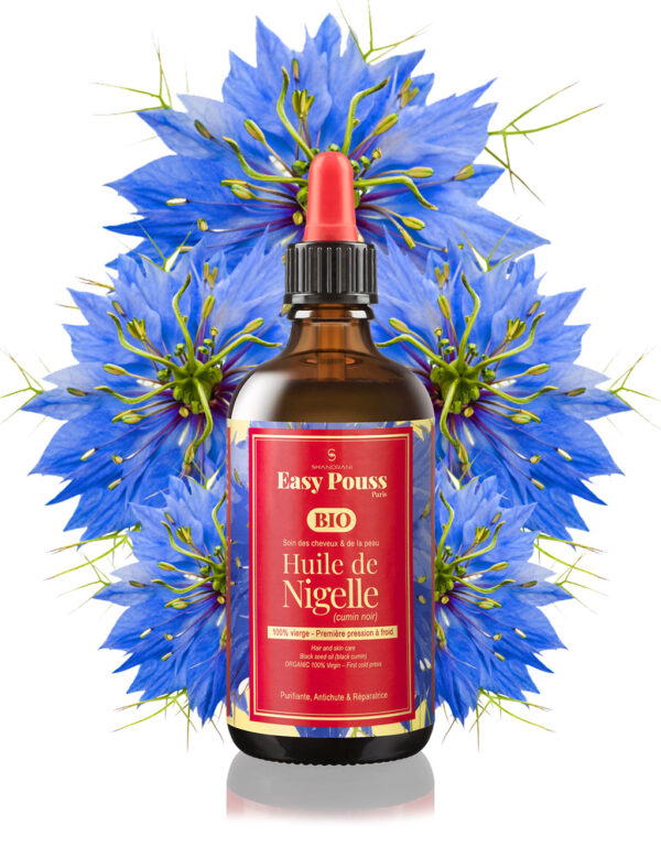 IMG Produit 1024x1313 EP Nigelle 02 IMG Produit 1024x1313 EP Nigelle 02