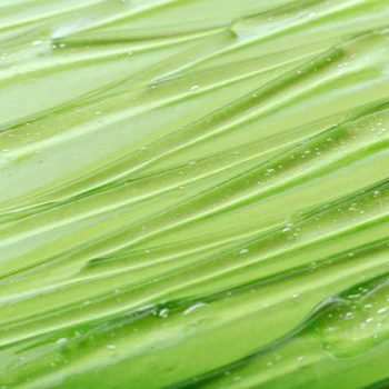 ingredient-Aloe-vera_350x