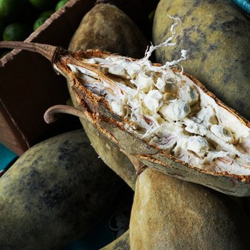 ingredient-Baobab_350x