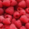 ingredient-Framboise_350x