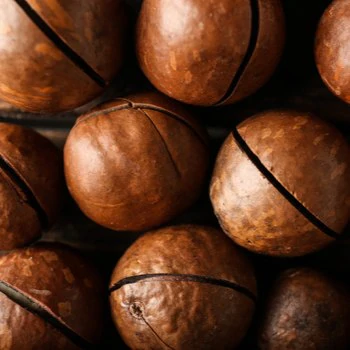 ingredient-Macadamia_350x