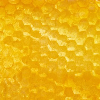ingredient-Miel_350x