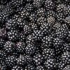 ingredient-Mure_350x