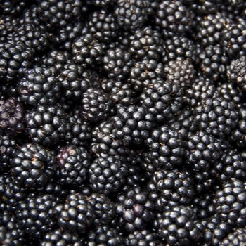 ingredient-Mure_350x