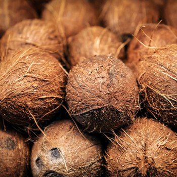 ingredient-Noix-de-coco_350x