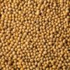 ingredient-Soja_350x