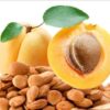 noyaux d abricots 2