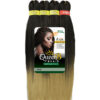 Queen B 3plus1multi box