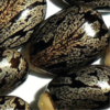 RICIN BEAUTE INSOLENTE
